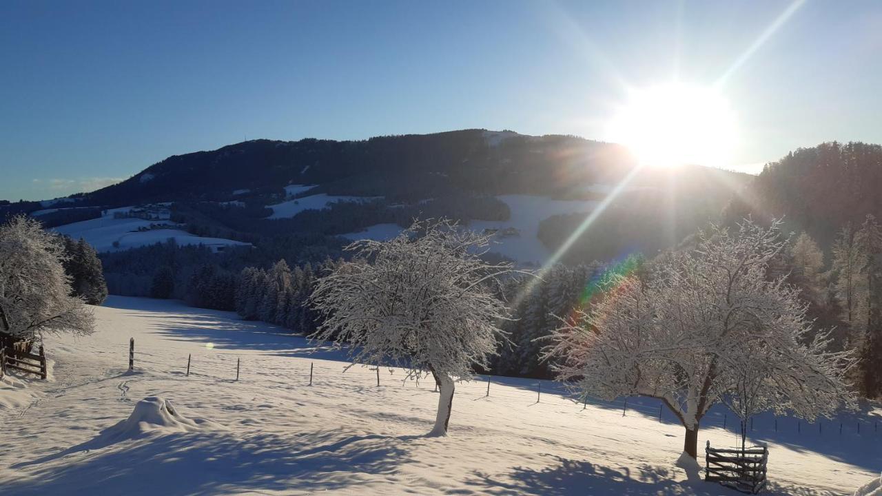 Ferienhaus Reisinger Promschhof Semriach Экстерьер фото