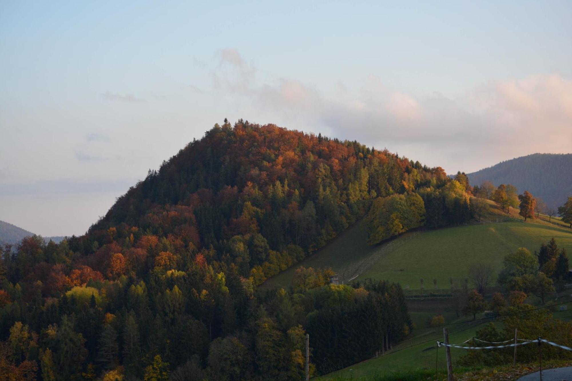 Ferienhaus Reisinger Promschhof Semriach Экстерьер фото